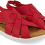 Elba rot, Synthetics